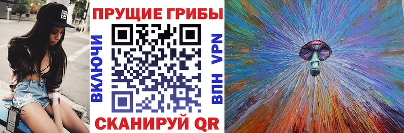 darknet клад  Называевск  Галлюциногенные грибы ЛСД  даркнет сайт 